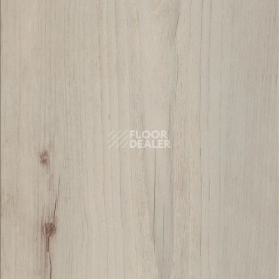 Кварцвиниловые полы Maximus Plank Norwegian Wood Arctic фото 1 | FLOORDEALER